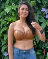 Dubai Indian Escort +971525391434